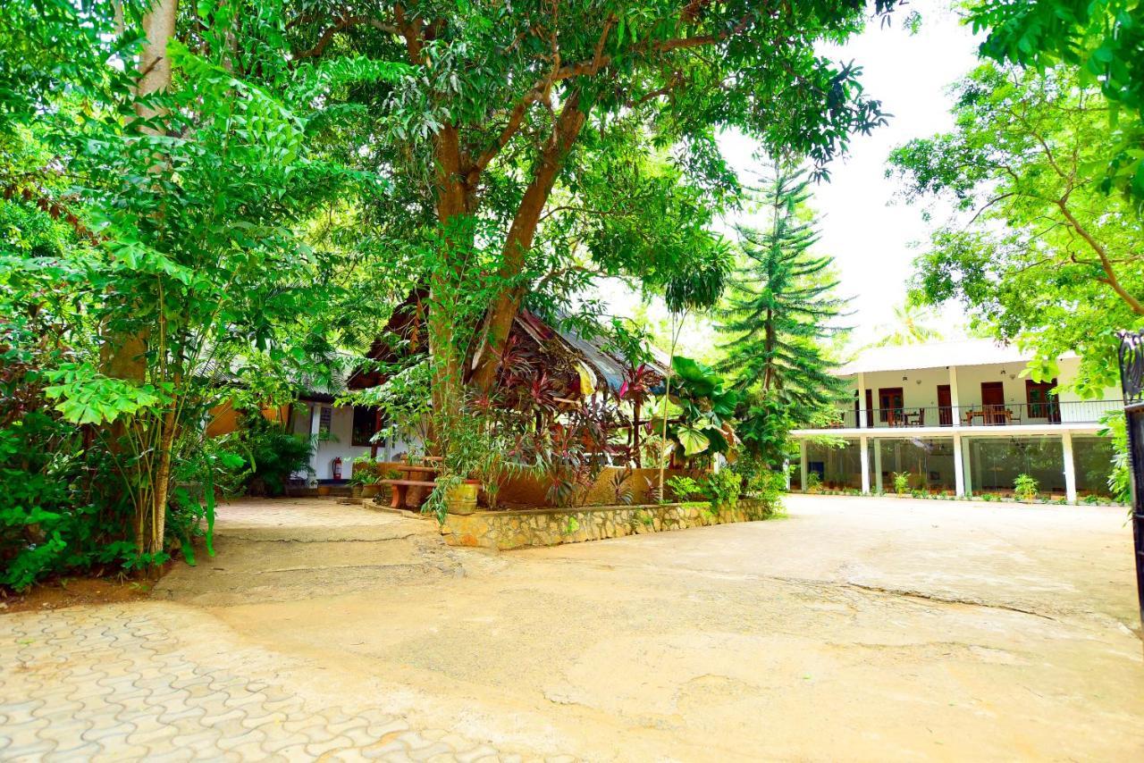 Ariya Rest & Ayurveda Spa بولاناروفاي المظهر الخارجي الصورة
