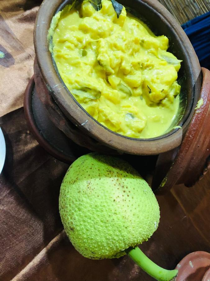 Ariya Rest & Ayurveda Spa بولاناروفاي المظهر الخارجي الصورة